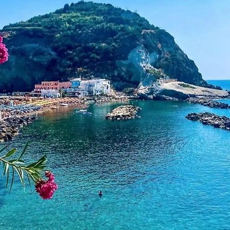 Mare Nostrum - Beachfront House - Sant'Angelo Ischia Exterior foto